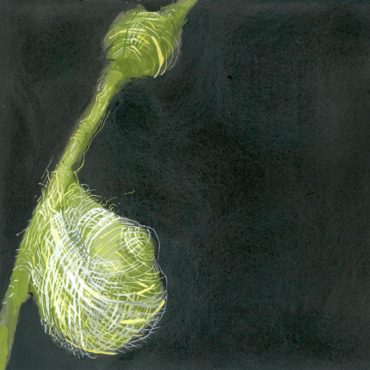 Green Frond, 14x16 inches, gouache on paper
