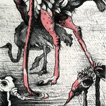 Do Ostriches Really Bury their Heads in the Sand? 13x10 inches, Stone Lithograph